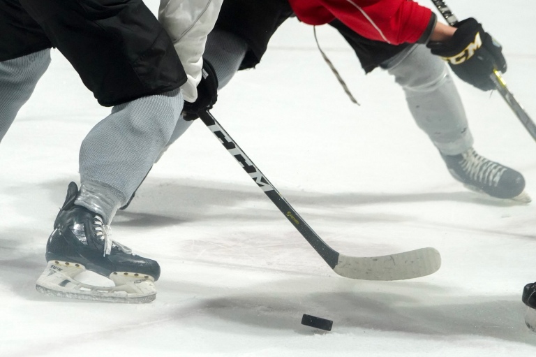 Observations From the Rink: “Hockey’s Double Standards” – FDS Podcast ...